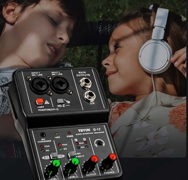 Interface De Áudio Profissional Teyun Q-12